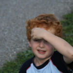 Bild 25