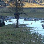 Bild 17