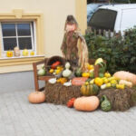Bild 97