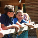 Bild 86