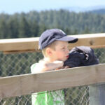 Bild 104
