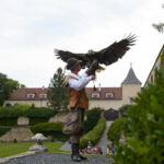 Bild 75