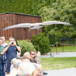 Bild 77