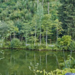 Bild 68