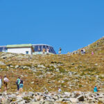 Bild 172