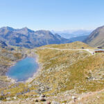 Bild 195