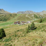 Bild 207
