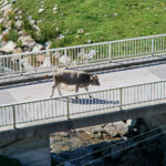 Bild 208