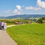 Bild 16