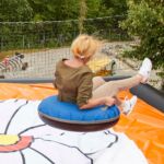 Bild 100