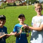 Bild 11
